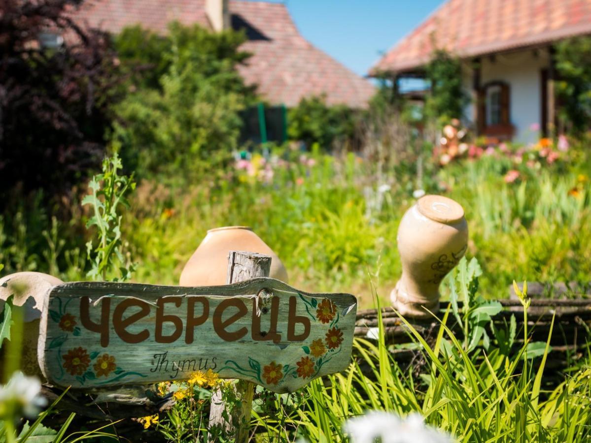 Vesela Sadyba Veselivka Extérieur photo