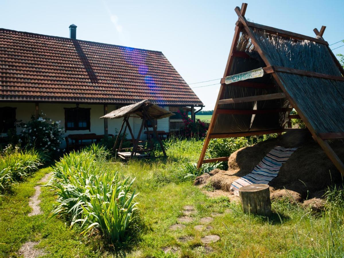 Vesela Sadyba Veselivka Extérieur photo