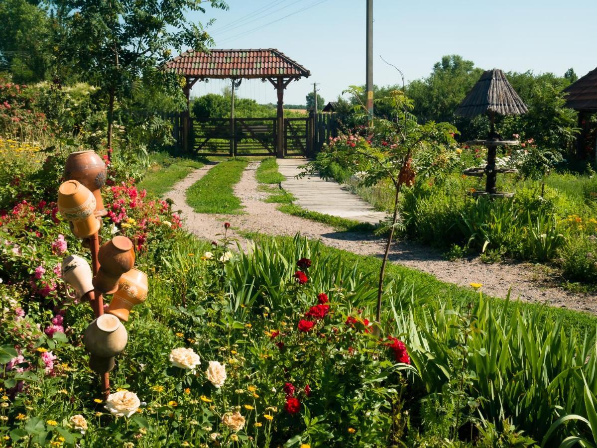 Vesela Sadyba Veselivka Extérieur photo