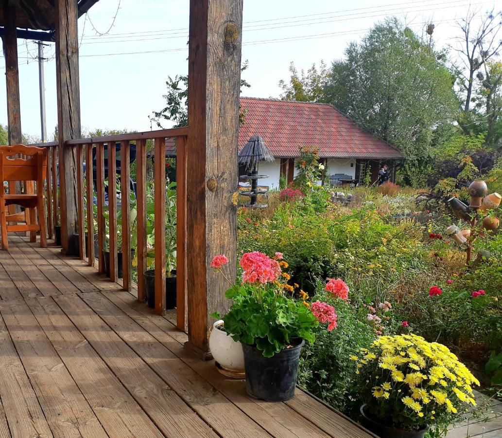 Vesela Sadyba Veselivka Extérieur photo